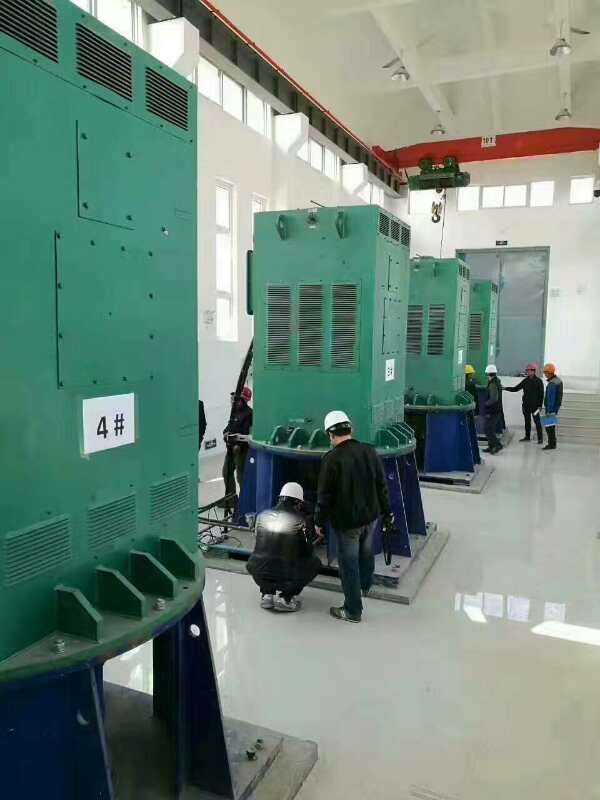 豆河镇某污水处理厂使用我厂的立式高压电机安装现场